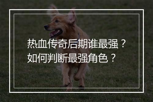 热血传奇后期谁最强？如何判断最强角色？