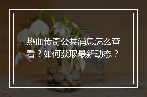 热血传奇公共消息怎么查看？如何获取最新动态？