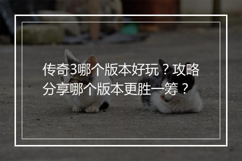 传奇3哪个版本好玩？攻略分享哪个版本更胜一筹？