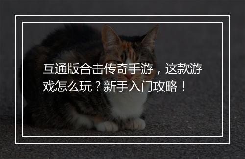 互通版合击传奇手游，这款游戏怎么玩？新手入门攻略！