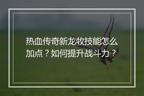 热血传奇新龙牧技能怎么加点？如何提升战斗力？