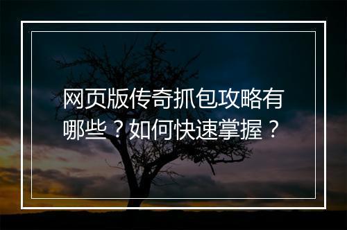 网页版传奇抓包攻略有哪些？如何快速掌握？