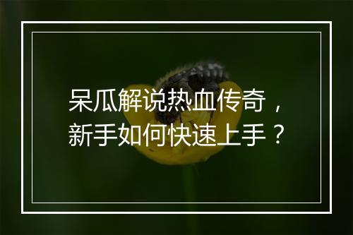 呆瓜解说热血传奇，新手如何快速上手？
