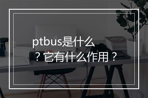 ptbus是什么？它有什么作用？