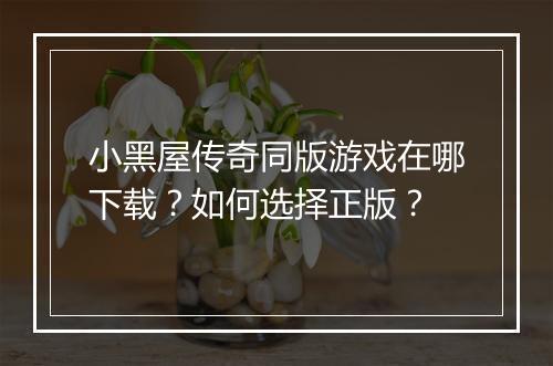 小黑屋传奇同版游戏在哪下载？如何选择正版？