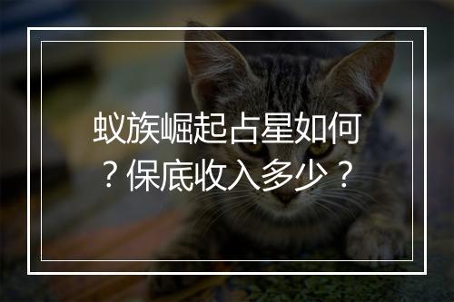 蚁族崛起占星如何？保底收入多少？