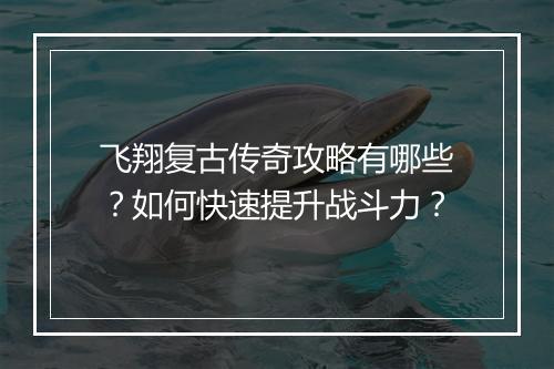 飞翔复古传奇攻略有哪些？如何快速提升战斗力？
