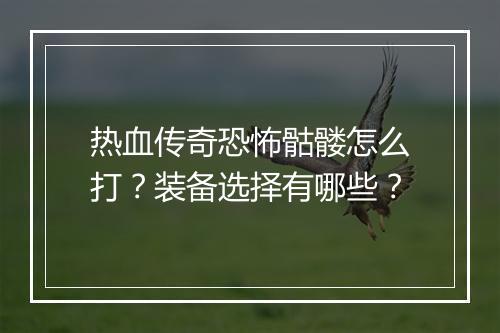 热血传奇恐怖骷髅怎么打？装备选择有哪些？