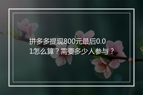 拼多多提现800元最后0.01怎么算？需要多少人参与？
