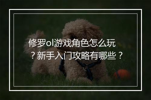 修罗ol游戏角色怎么玩？新手入门攻略有哪些？