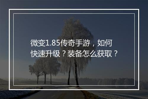微变1.85传奇手游，如何快速升级？装备怎么获取？