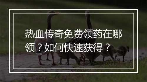 热血传奇免费领药在哪领？如何快速获得？