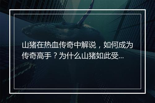 山猪在热血传奇中解说，如何成为传奇高手？为什么山猪如此受欢迎？