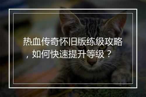 热血传奇怀旧版练级攻略，如何快速提升等级？