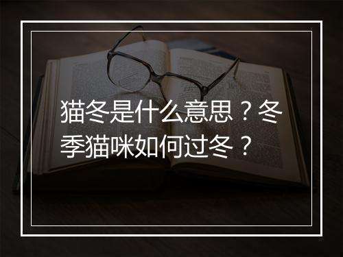 猫冬是什么意思？冬季猫咪如何过冬？