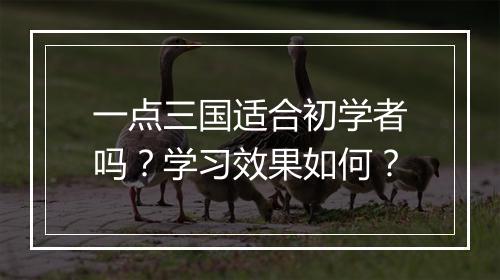 一点三国适合初学者吗？学习效果如何？