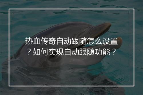 热血传奇自动跟随怎么设置？如何实现自动跟随功能？