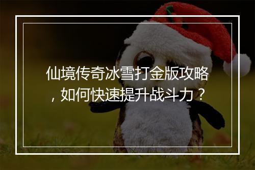 仙境传奇冰雪打金版攻略，如何快速提升战斗力？