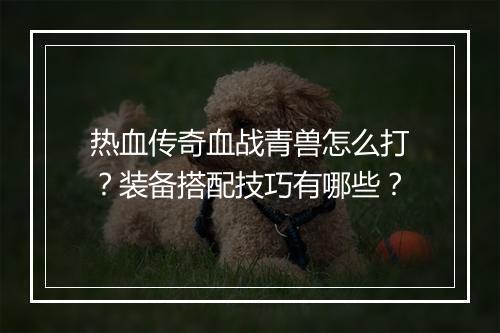 热血传奇血战青兽怎么打？装备搭配技巧有哪些？