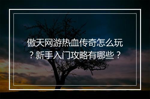 傲天网游热血传奇怎么玩？新手入门攻略有哪些？