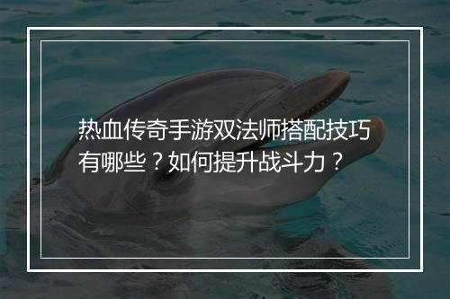 热血传奇手游双法师搭配技巧有哪些？如何提升战斗力？