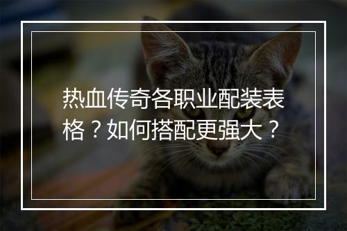 热血传奇各职业配装表格？如何搭配更强大？