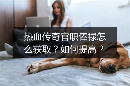 热血传奇官职俸禄怎么获取？如何提高？