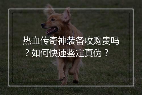热血传奇神装备收购贵吗？如何快速鉴定真伪？