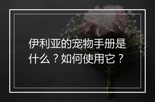 伊利亚的宠物手册是什么？如何使用它？