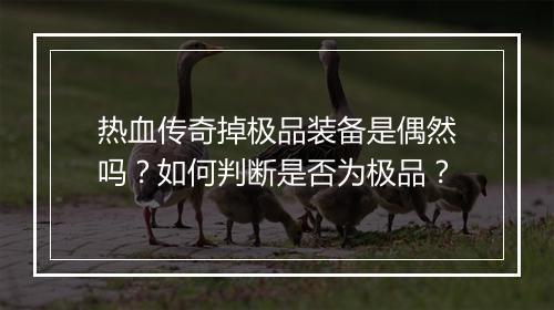 热血传奇掉极品装备是偶然吗？如何判断是否为极品？