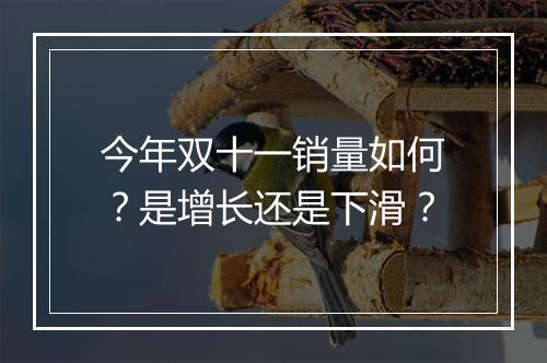 今年双十一销量如何？是增长还是下滑？