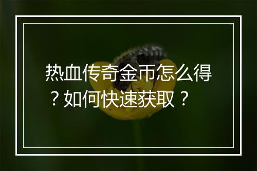 热血传奇金币怎么得？如何快速获取？