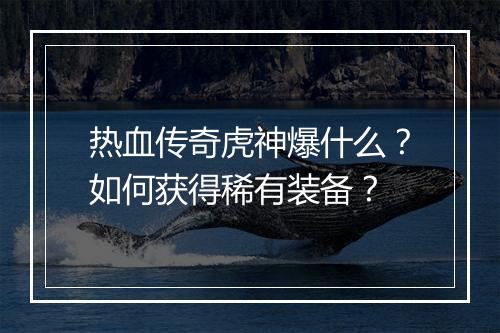 热血传奇虎神爆什么？如何获得稀有装备？