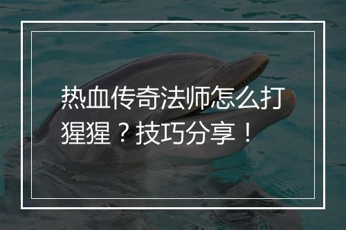 热血传奇法师怎么打猩猩？技巧分享！