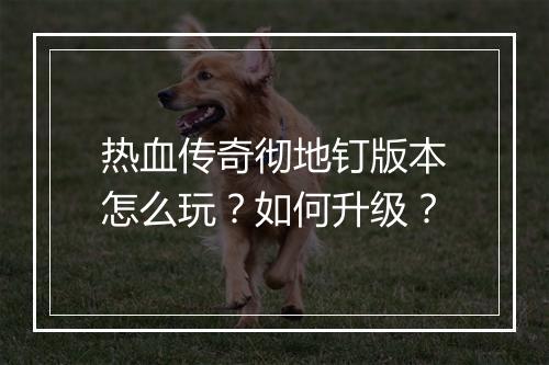 热血传奇彻地钉版本怎么玩？如何升级？