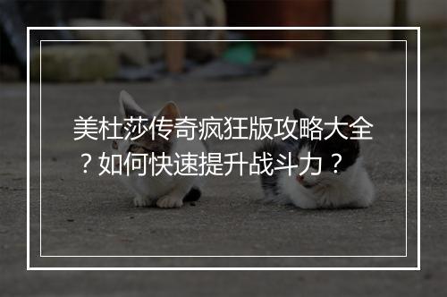 美杜莎传奇疯狂版攻略大全？如何快速提升战斗力？