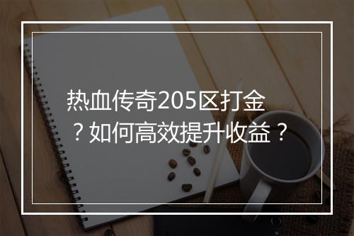 热血传奇205区打金？如何高效提升收益？