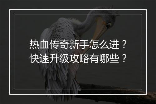 热血传奇新手怎么进？快速升级攻略有哪些？