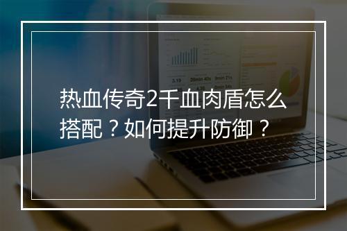 热血传奇2千血肉盾怎么搭配？如何提升防御？