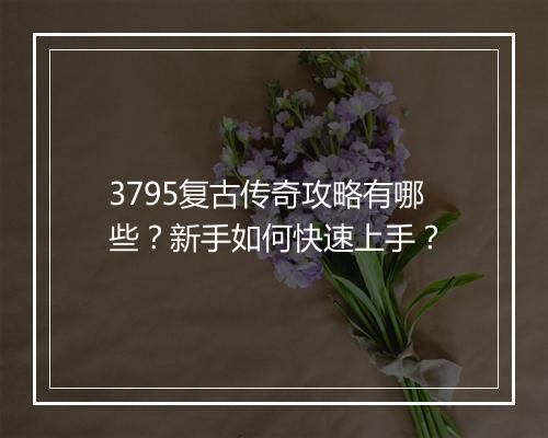 3795复古传奇攻略有哪些？新手如何快速上手？