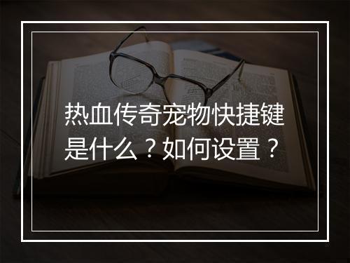 热血传奇宠物快捷键是什么?如何设置?