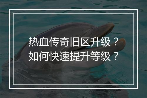 热血传奇旧区升级？如何快速提升等级？