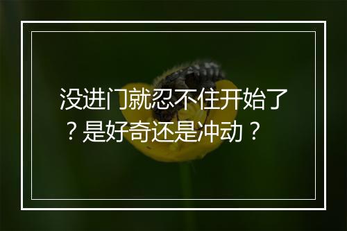 没进门就忍不住开始了？是好奇还是冲动？