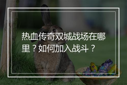 热血传奇双城战场在哪里？如何加入战斗？