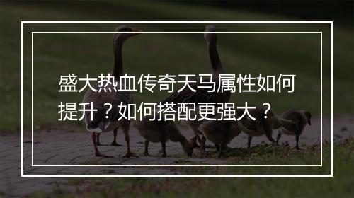 盛大热血传奇天马属性如何提升？如何搭配更强大？