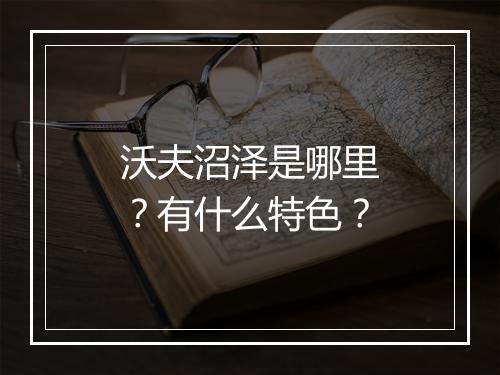 沃夫沼泽是哪里？有什么特色？