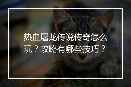 热血屠龙传说传奇怎么玩？攻略有哪些技巧？