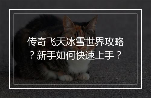 传奇飞天冰雪世界攻略？新手如何快速上手？
