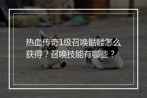 热血传奇1级召唤骷髅怎么获得？召唤技能有哪些？