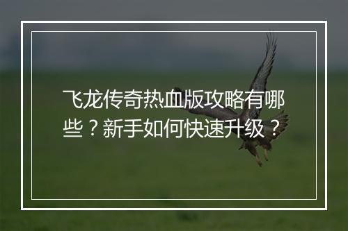 飞龙传奇热血版攻略有哪些？新手如何快速升级？